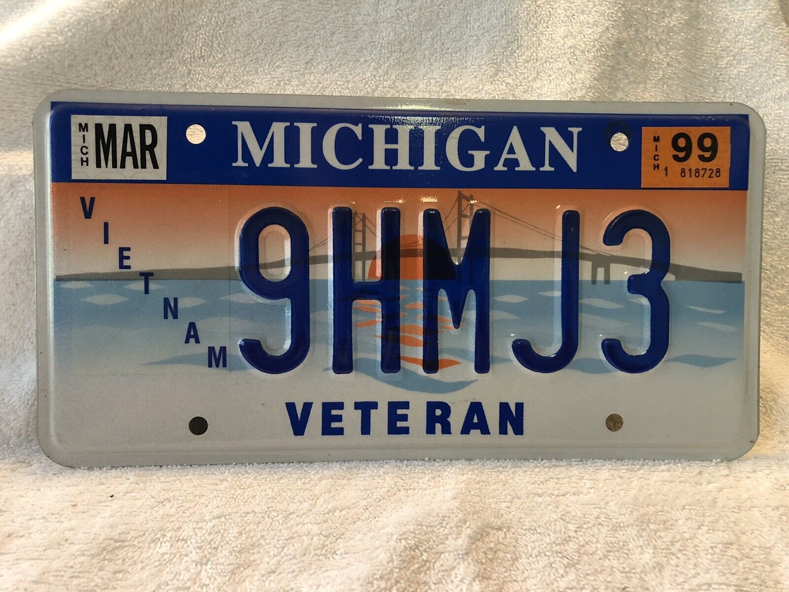 1999 Michigan Vietnam Veteran License Plate