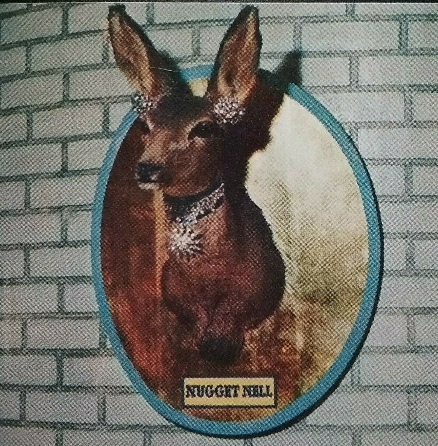 Las Vegas Nv El Rancho Casino Nugget Nell Mounted Deer Head Defunct Circa 1950s