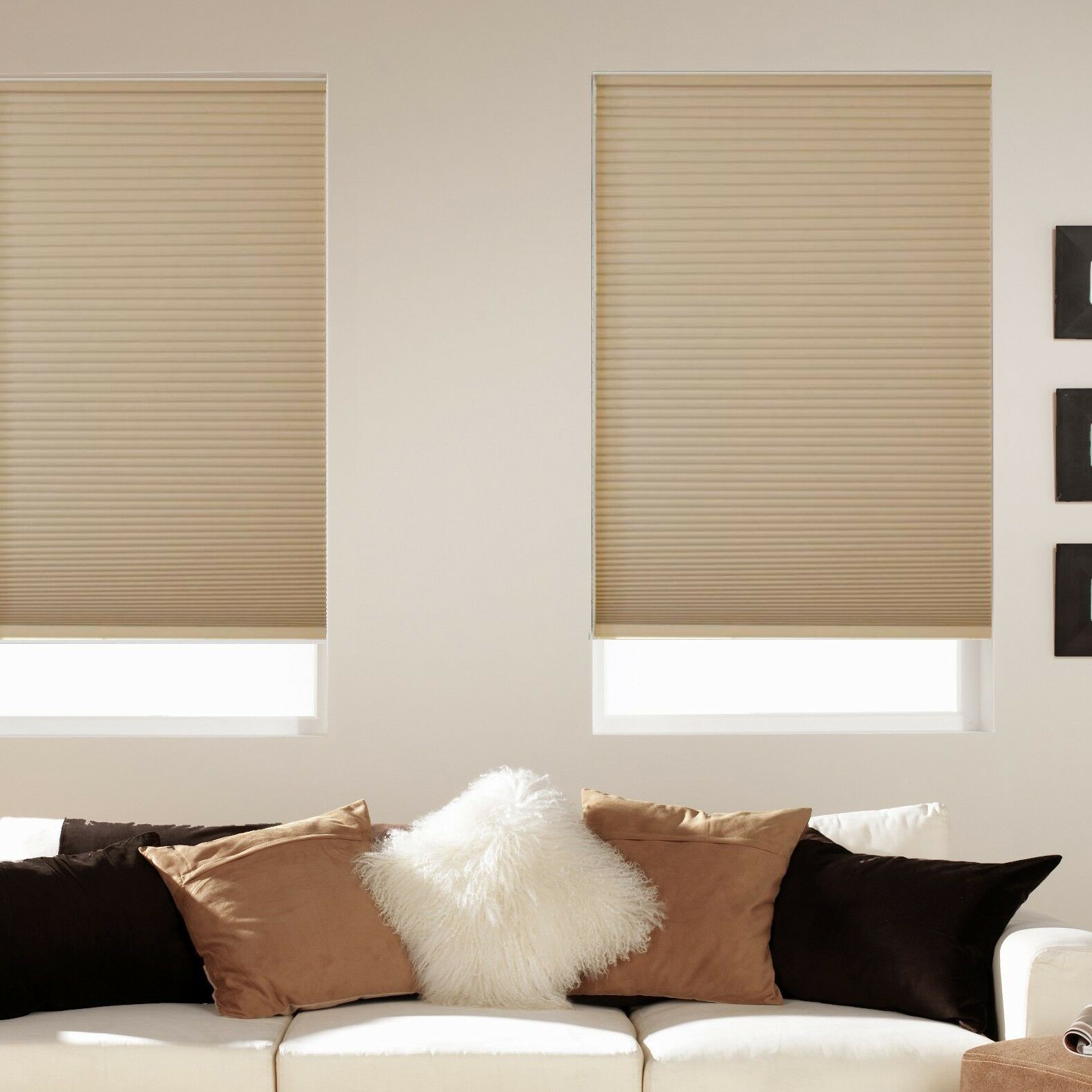 Room Darkening Cordless Cellular Shades - Five Colors - Free Shipping